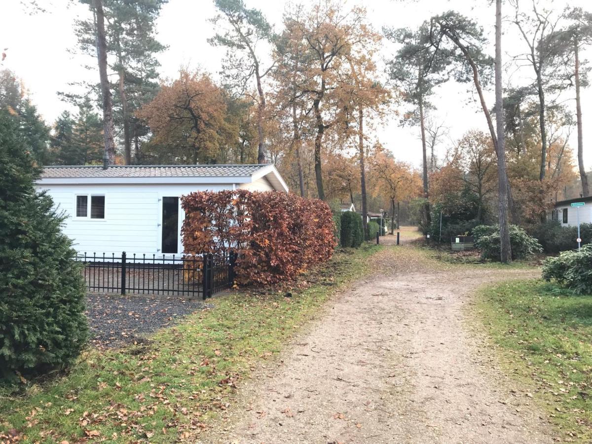 Chalet Bosrand 42 Park Veluwshof 6 P Hoenderloo Extérieur photo